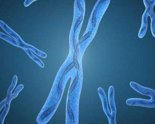 二胎胎停育后如何备孕