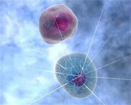 广州人类精子库官网,广州人类精子库