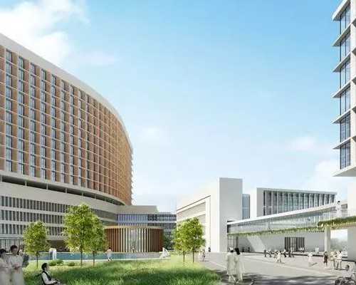 维生素E能提高精子质量吗