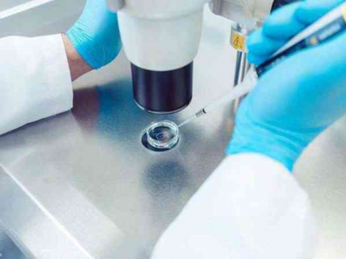 广州有供卵么,广州有哪些市