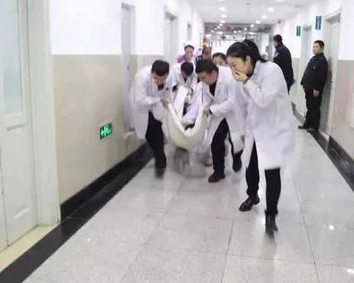 广州精子库地址,广州人类精子库