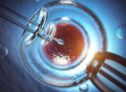 吃雌二醇第七天内膜6还吃几天能移植？