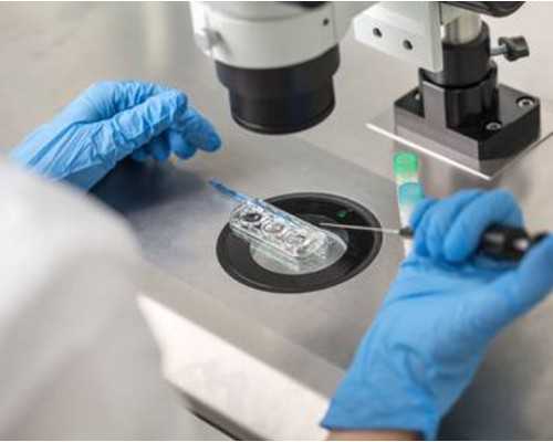 长春代孕公司哪里有,什么是试管婴儿？什么是代孕？在我国合法吗？-48岁做试