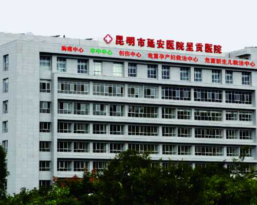 泰国试管婴儿中介作用