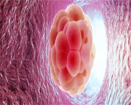 广州有泰国试管婴儿公司吗?,广州大学广州医院做试管婴儿建档要提前预约和